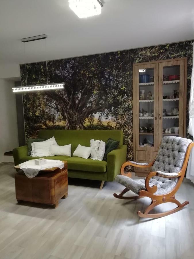 Apartman Teta Jadre 马卡尔斯卡 外观 照片